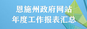 恩施州政府网站年度工作报表汇总